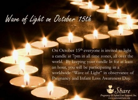 13934896_538369889685000_8033076690101095876_n