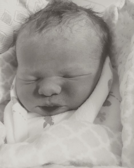 17a364d2-2d0f-4094-bcf4-8d2d2487ea71